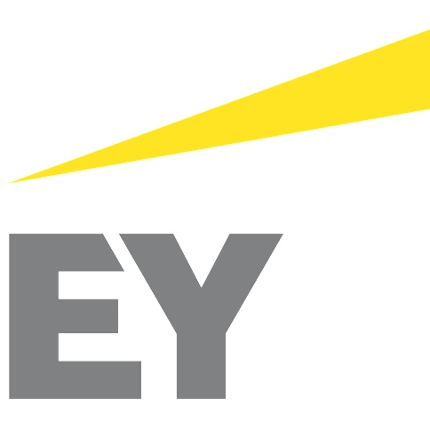 Dennis Groen heeft als Staff gewerkt bij EY Accountants