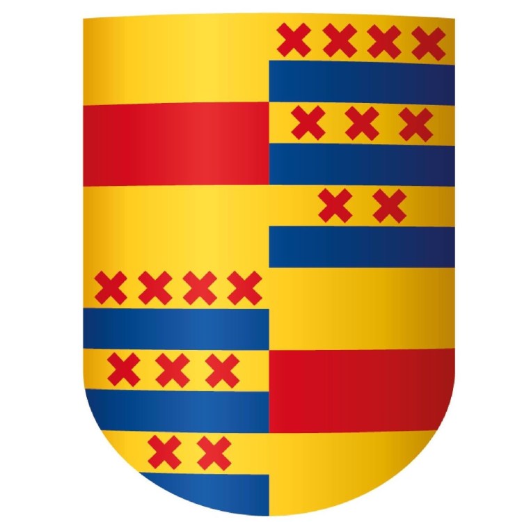 Dennis Groen heeft de Master of Science Accountancy gestudeerd aan de Nyenrode Business Universiteit 